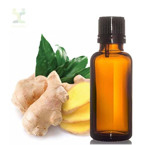Ginger Oil